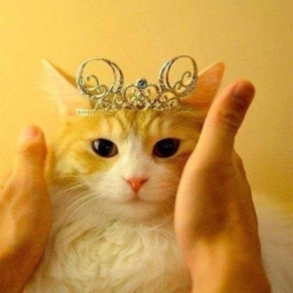 We can't all be the Princess, somebody has to sit on the curb & clap as I go by
